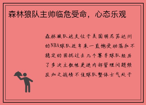 森林狼队主帅临危受命，心态乐观